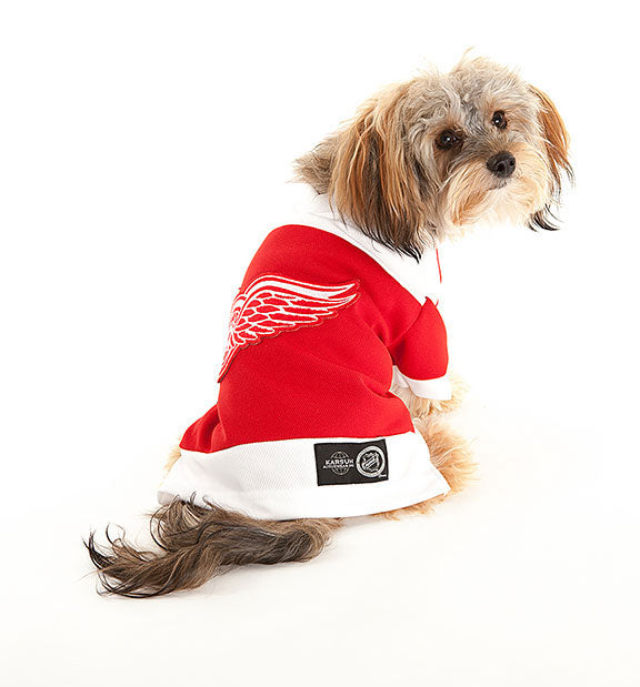 Detroit Red Wings NHL Dog Jersey on small dog