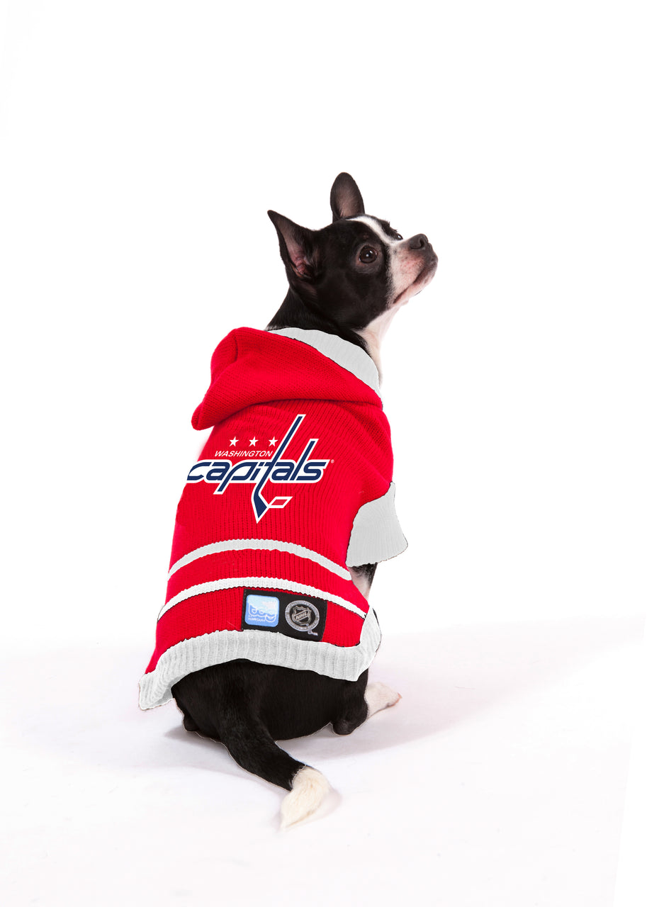 Washington Capitals NHL Dog Sweater on small dog