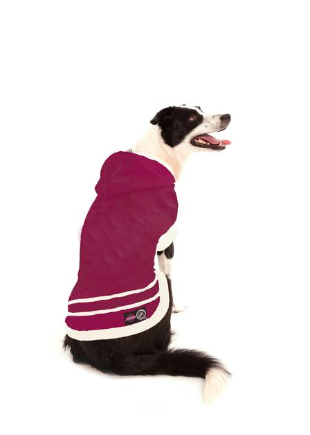 Streetwear Dog Clothes - Sweaters | Jacket Coats | Shirts