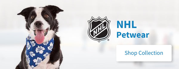 NHL Hockey Dog Clothes & Accessories
