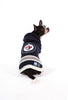 Winnipeg Jets NHL Dog Sweater on small dog