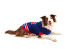 Montreal Canadiens NHL Dog Sweater large dog