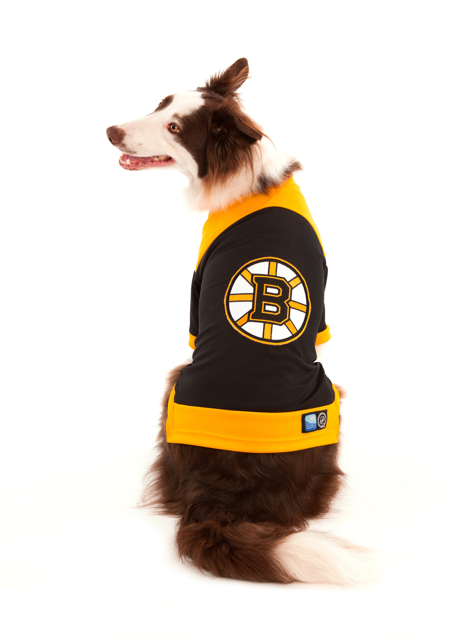 Boston Bruins NHL Dog Jersey on large dog