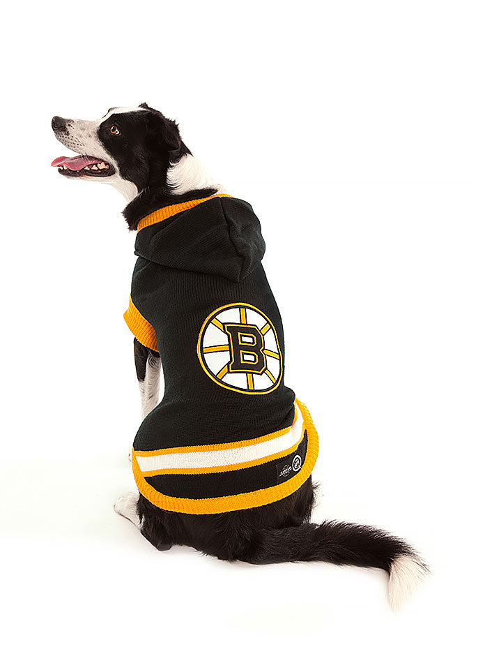 Boston Bruins NHL Dog Sweater on dog