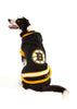 Boston Bruins NHL Dog Sweater on dog