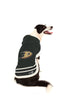 Anaheim Ducks Dog Sweater on a dog