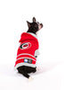 Carolina Hurricanes NHL Dog Sweater on dog