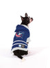 Columbus Blue Jackets NHL Dog Sweater on dog