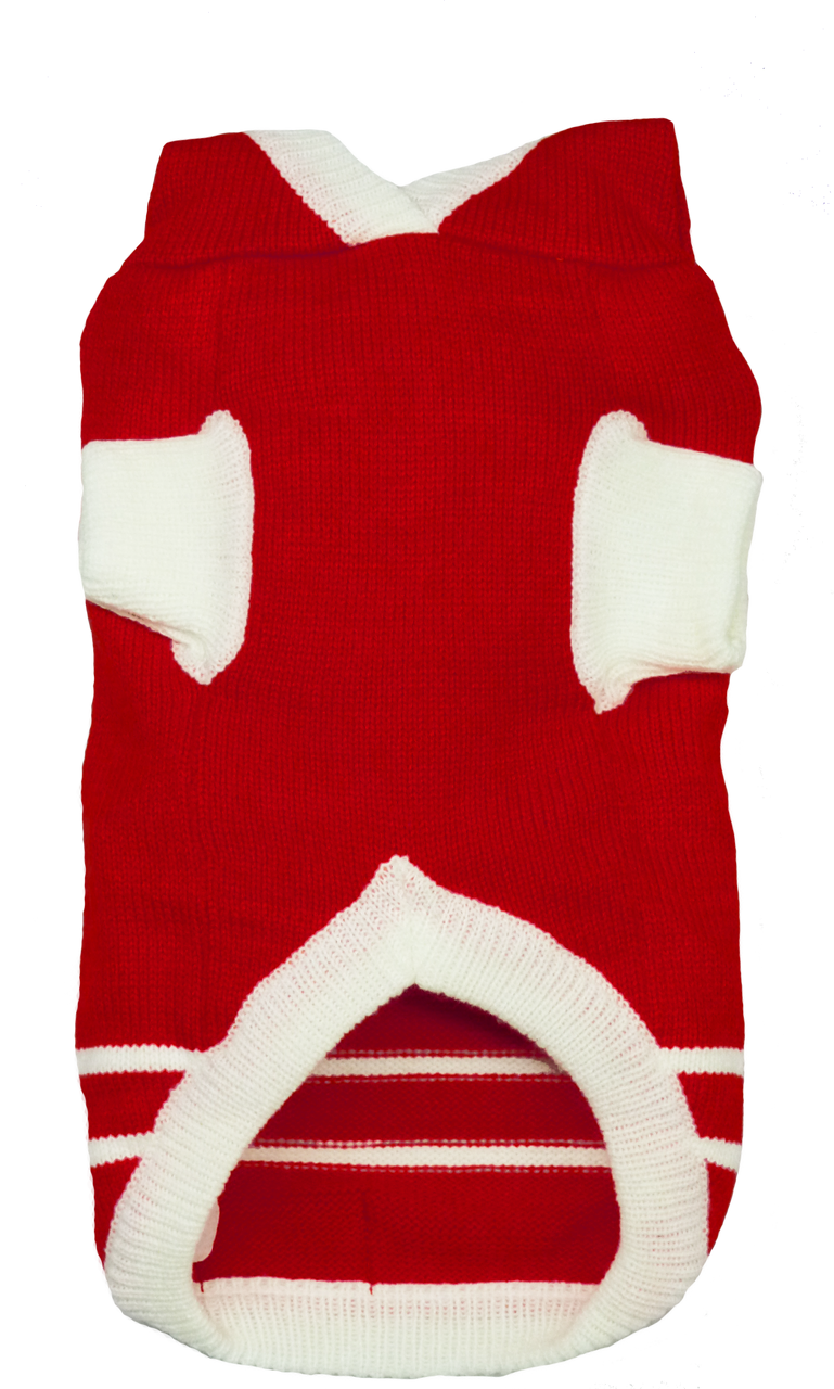 Detroit Red Wings NHL Dog Sweater flat back
