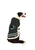 San Jose Sharks Nhl Dog Sweater on large dog