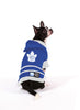 Toronto Maple Leafs NHL Dog Sweater on small dog