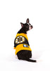 Boston Bruins NHL Dog Jersey on small dog