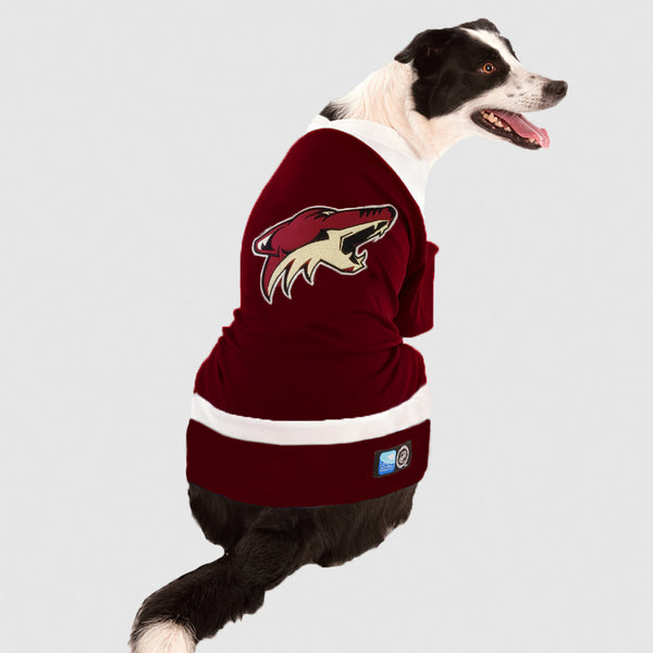 Nashville predators store dog jersey