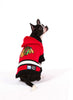 Chicago Blackhawks NHL Dog Sweater on dog