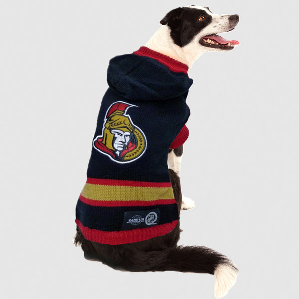 Pittsburgh Penguins NHL Dog Sweater– Togpetwear