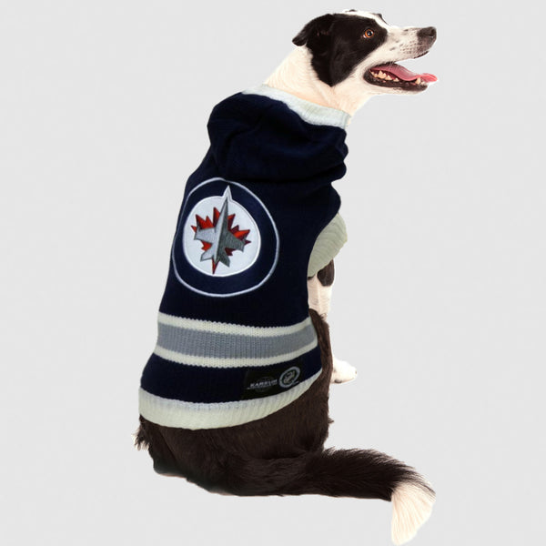 Winnipeg jets on sale dog jersey